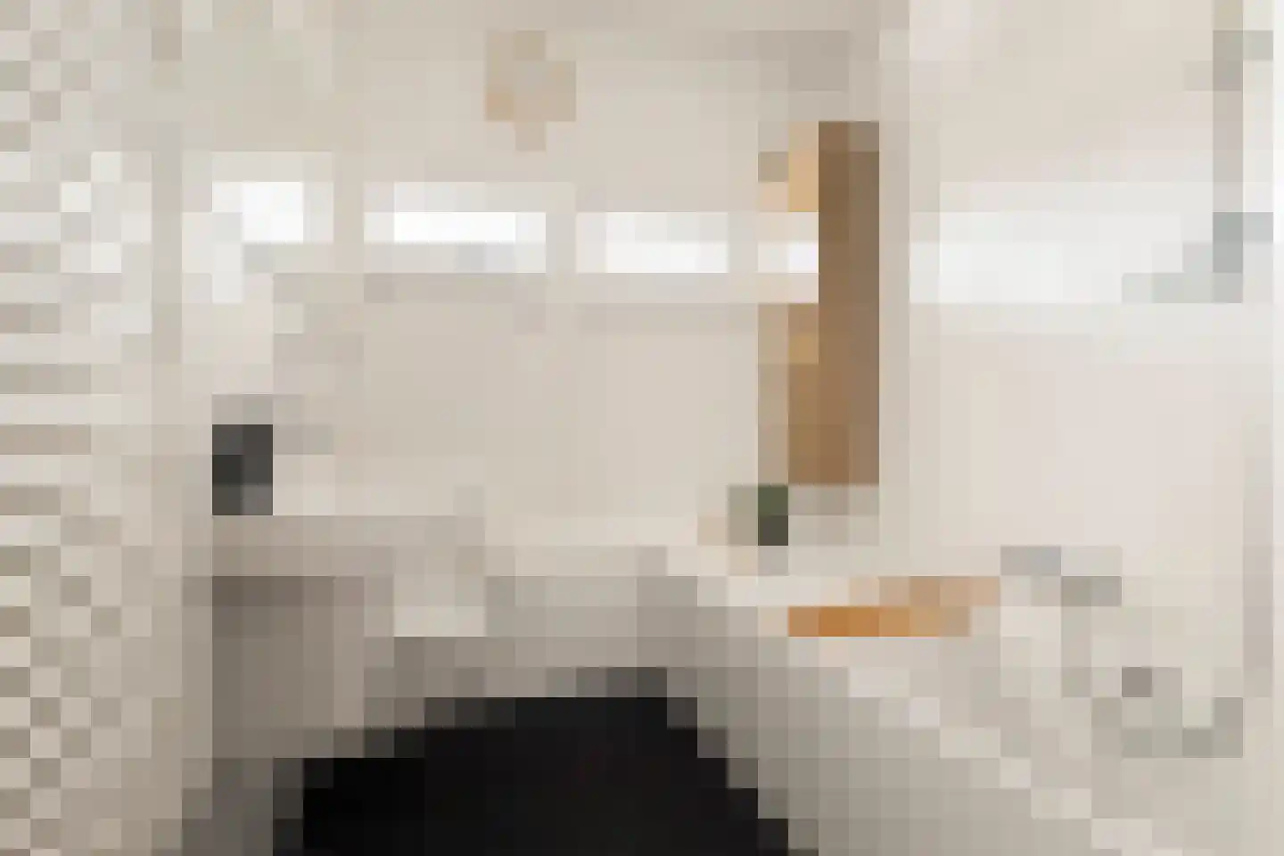 Lyceumstraat 81 Alkmaar thumbnail 32