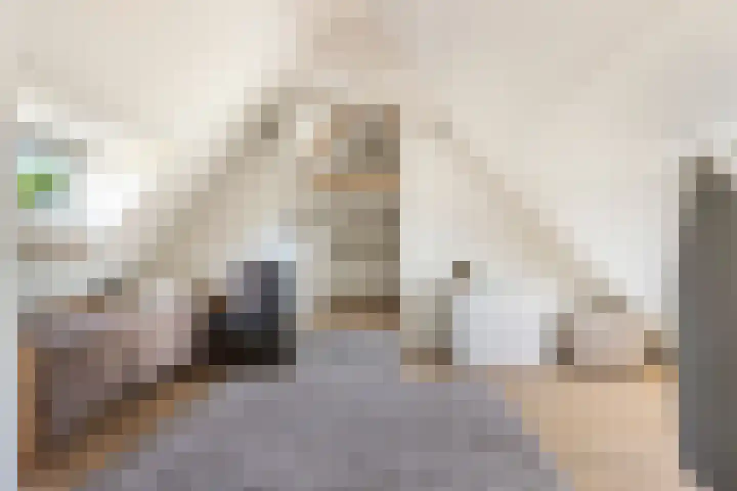 Lyceumstraat 81 Alkmaar thumbnail 35