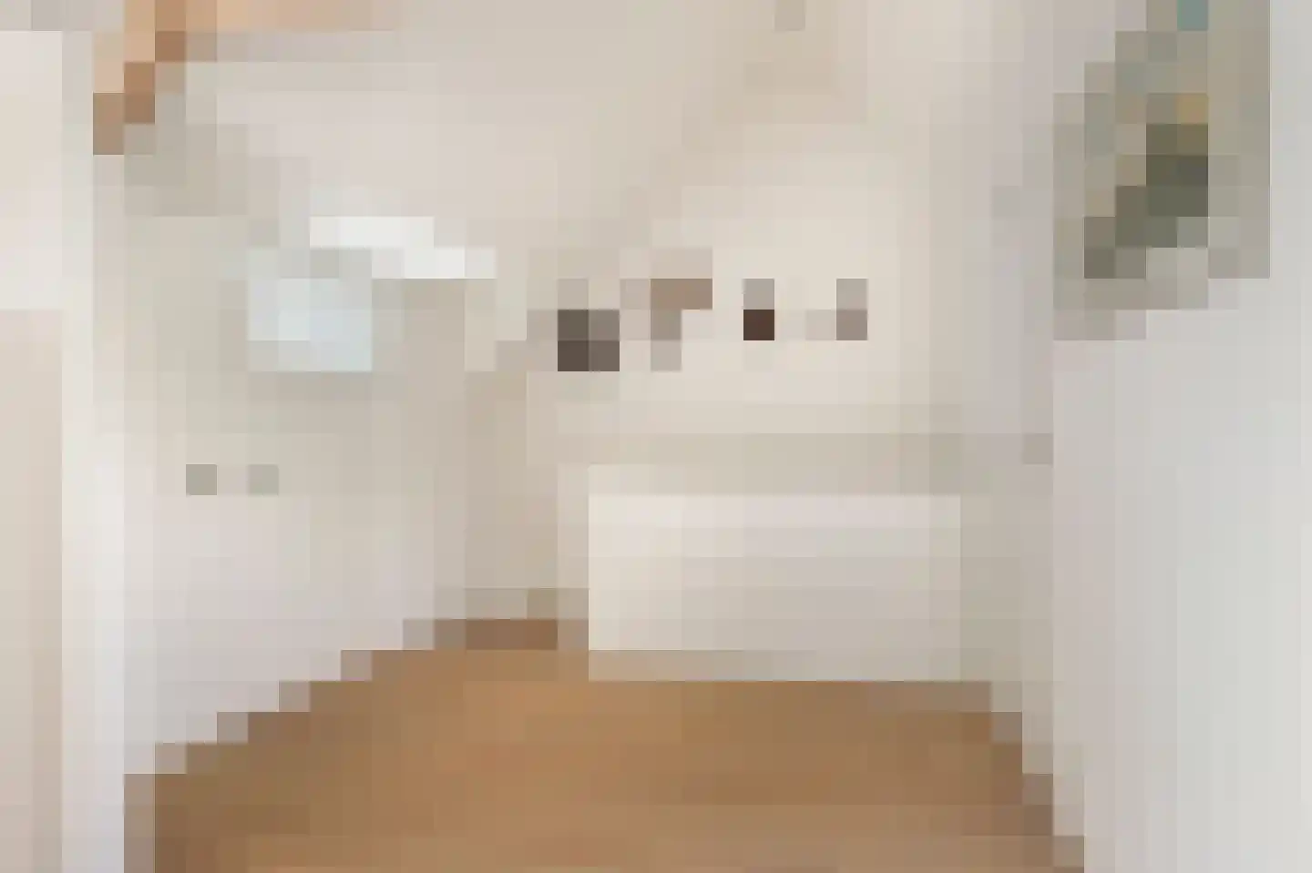 Lyceumstraat 81 Alkmaar thumbnail 37