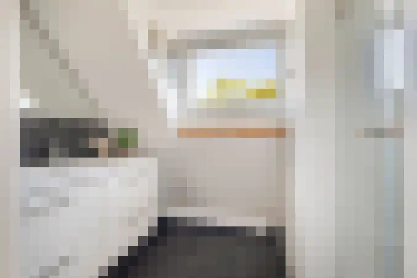 Lyceumstraat 81 Alkmaar thumbnail 39