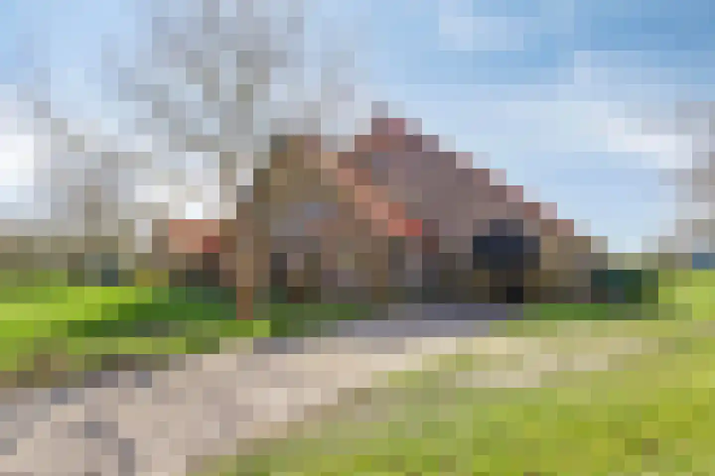 Lycklamavaart 1 Ravenswoud