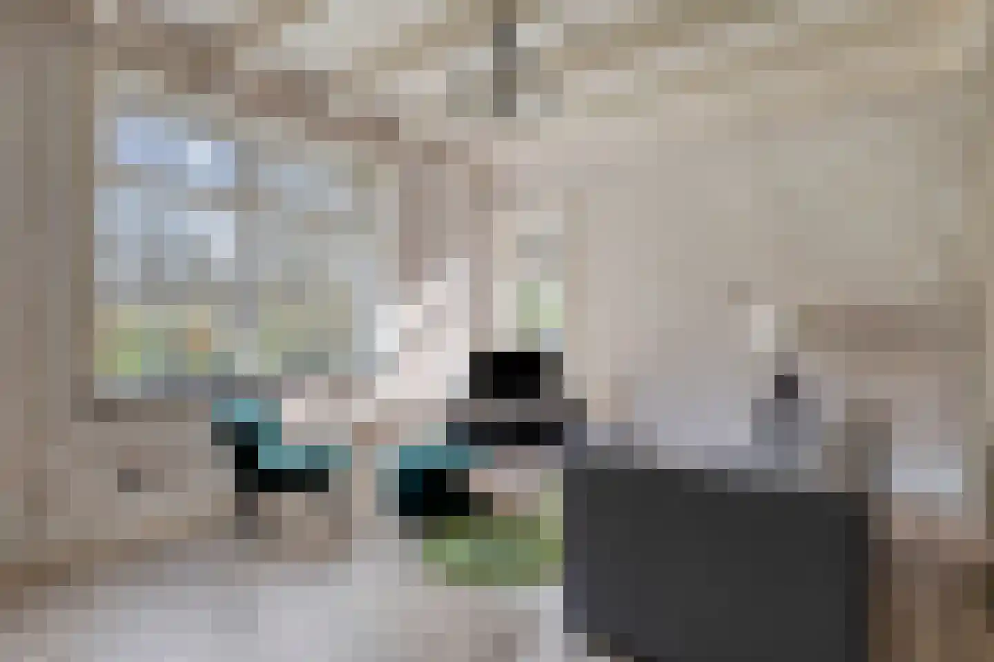 Lycklamavaart 1 Ravenswoud thumbnail 24