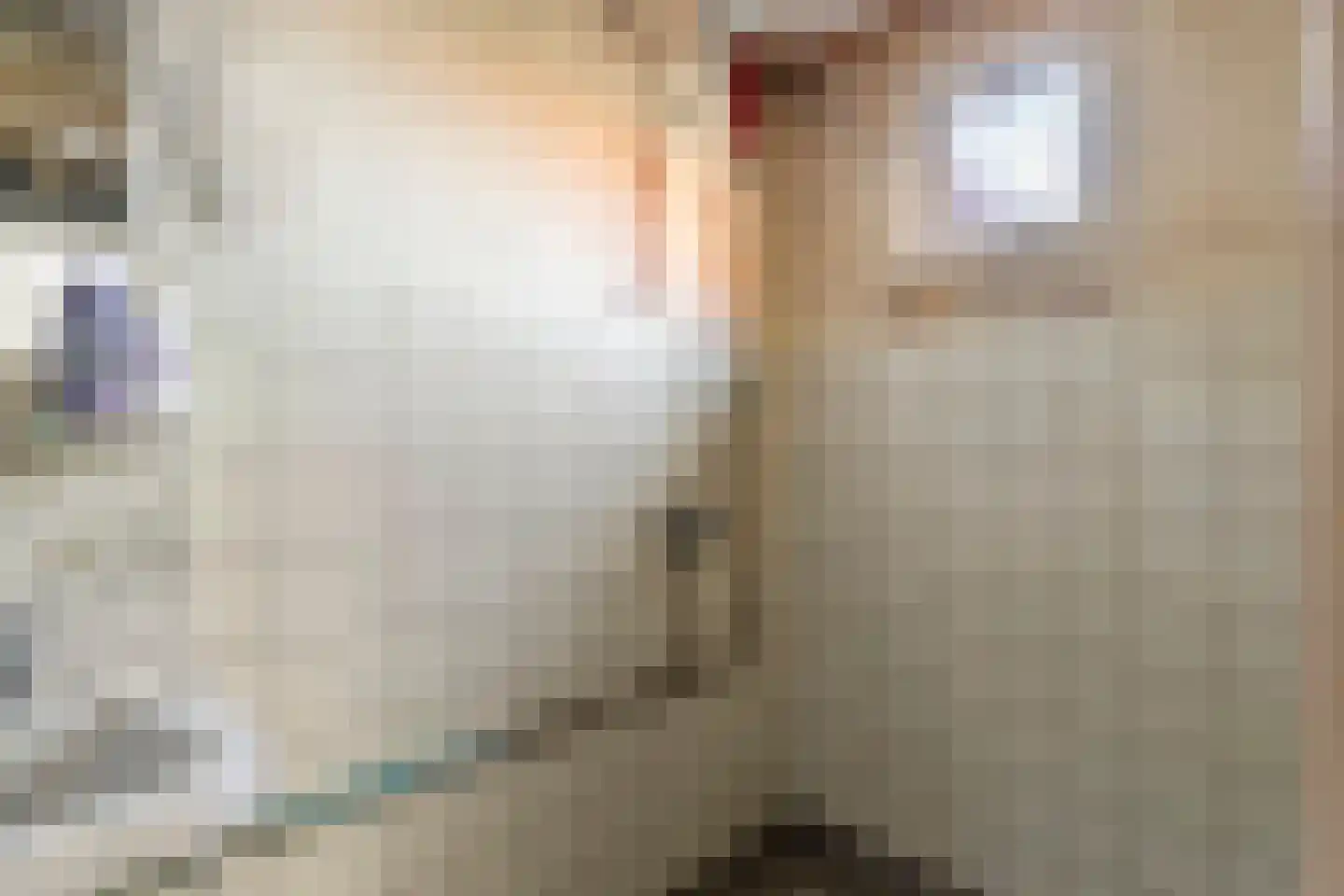 Lycklamavaart 1 Ravenswoud thumbnail 36