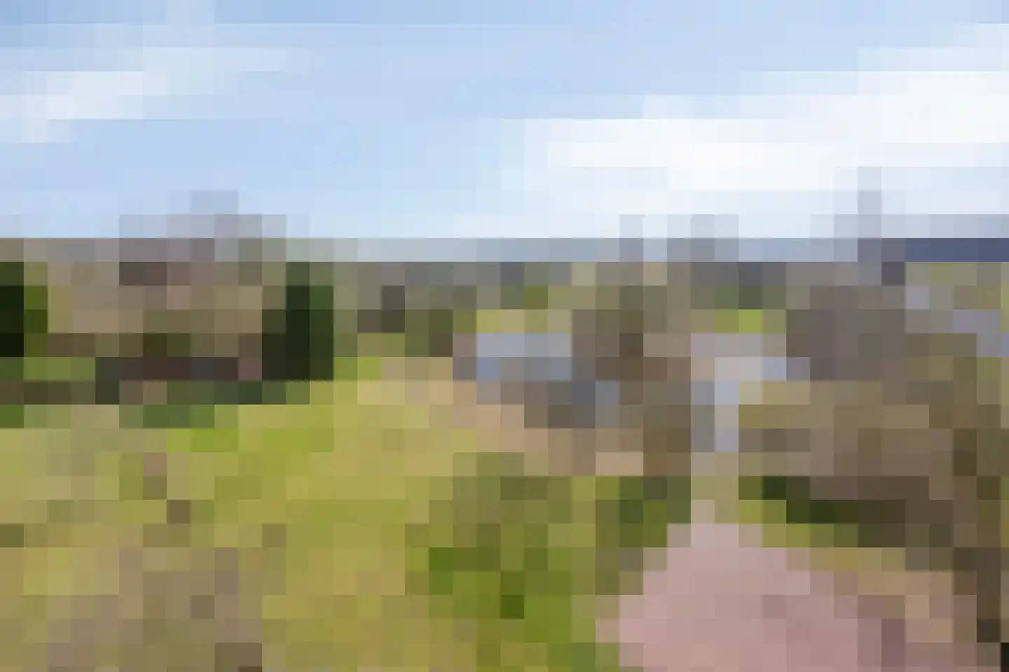Lycklamavaart 1 Ravenswoud thumbnail 4