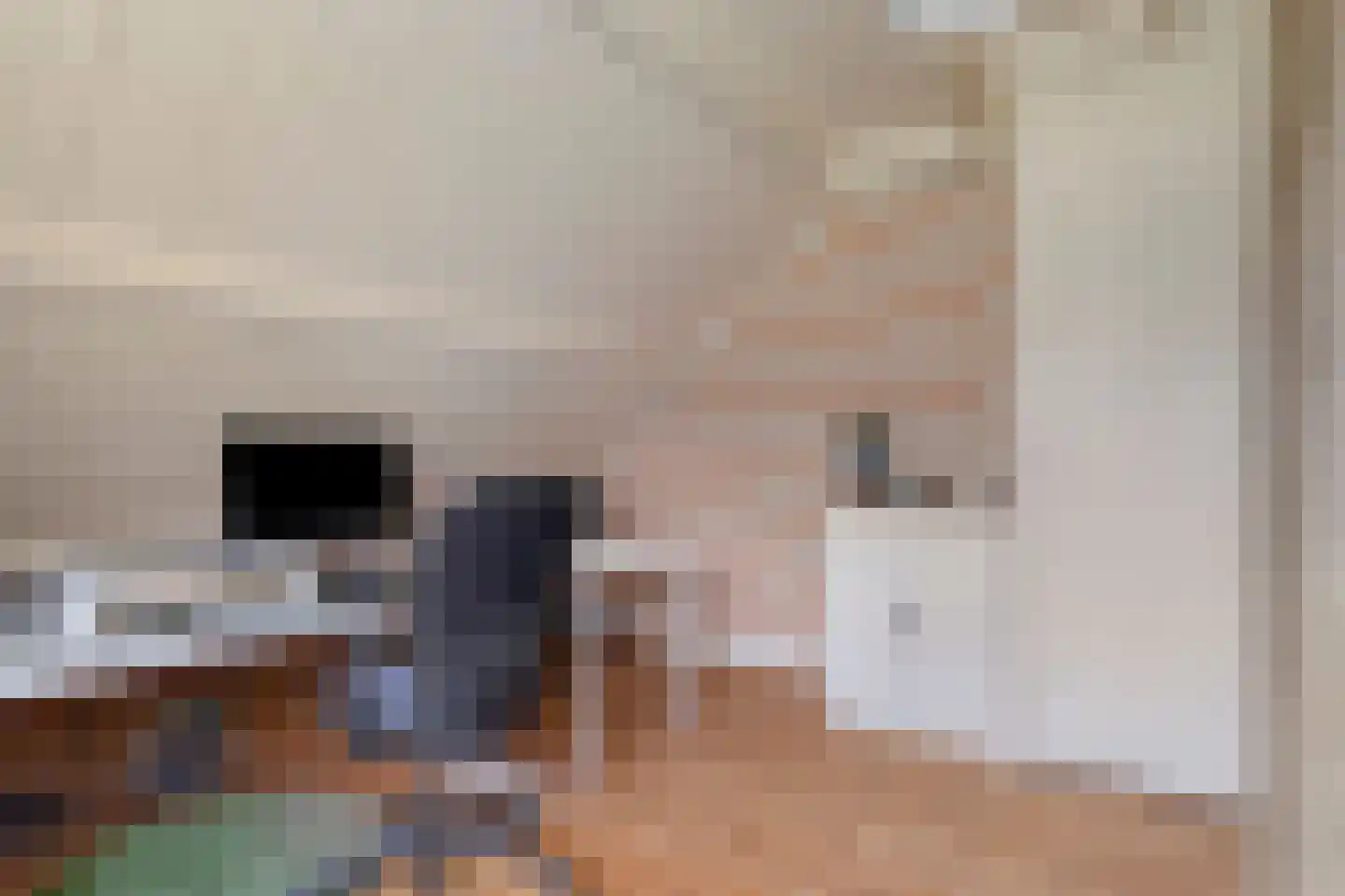 Lycklamavaart 1 Ravenswoud thumbnail 40