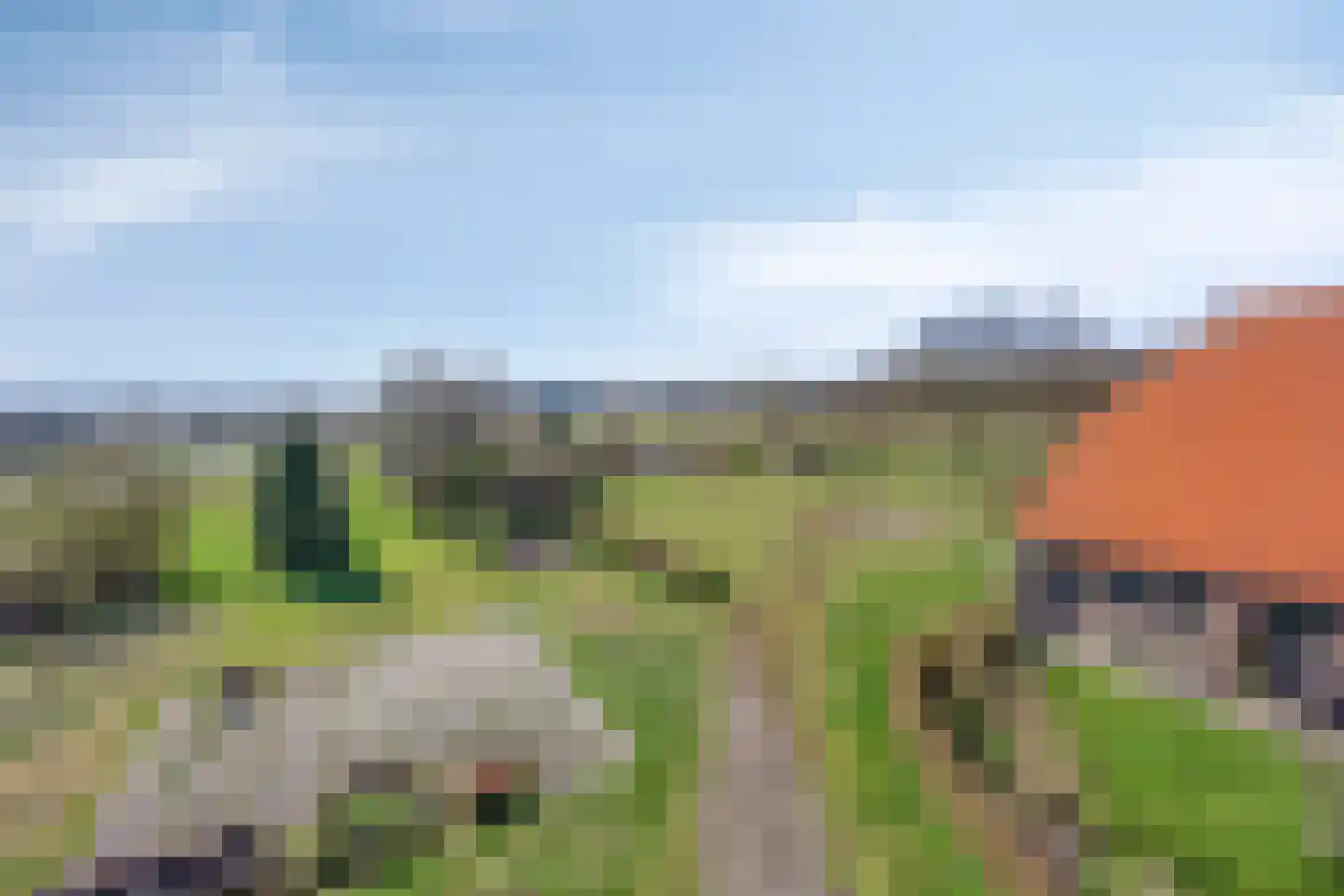 Lycklamavaart 1 Ravenswoud thumbnail 49