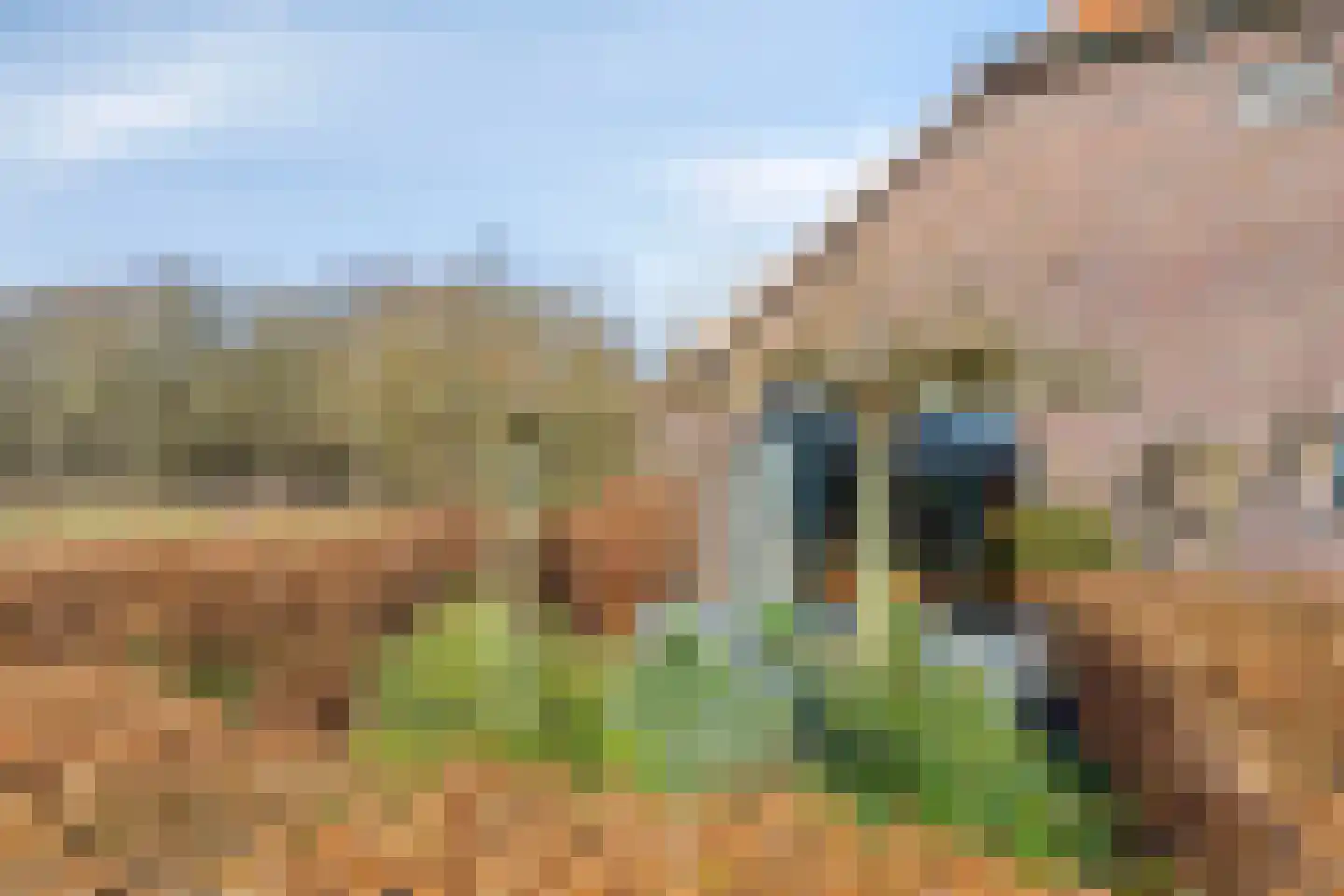 Lycklamavaart 1 Ravenswoud thumbnail 55