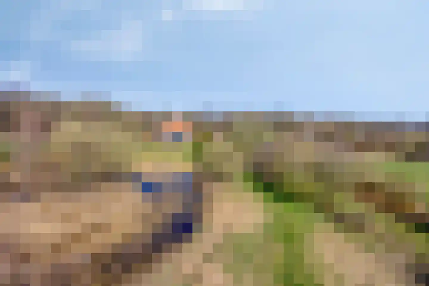 Lycklamavaart 1 Ravenswoud thumbnail 58