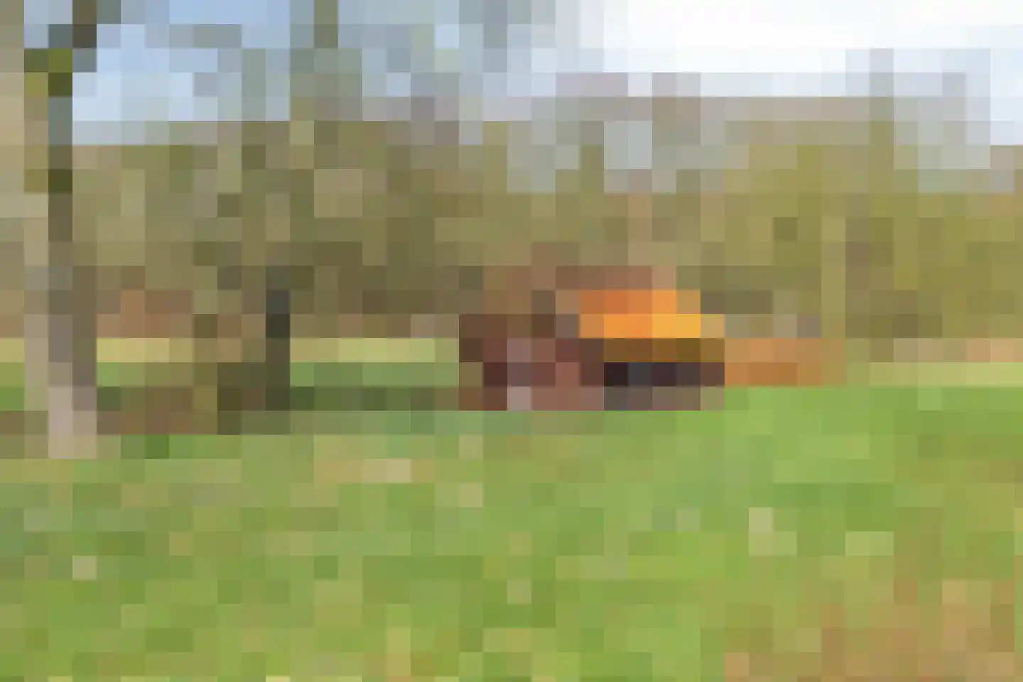 Lycklamavaart 1 Ravenswoud thumbnail 60
