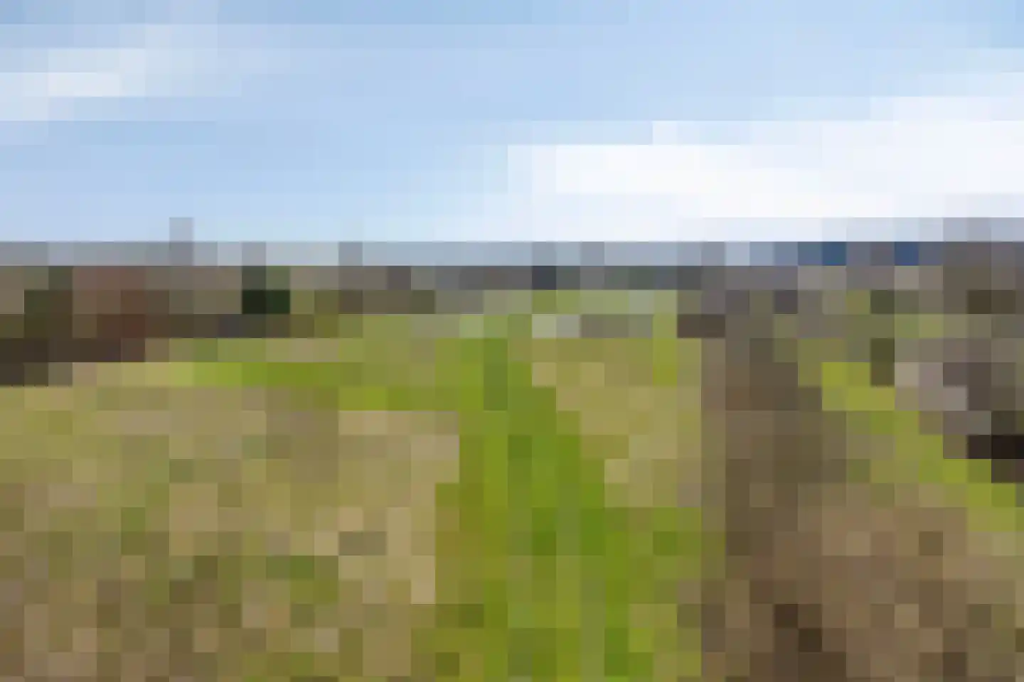 Lycklamavaart 1 Ravenswoud thumbnail 61