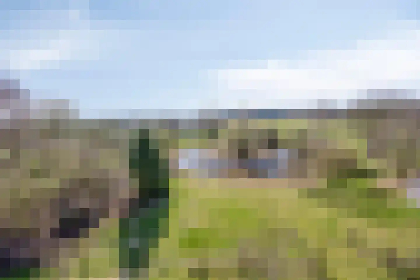 Lycklamavaart 1 Ravenswoud thumbnail 62
