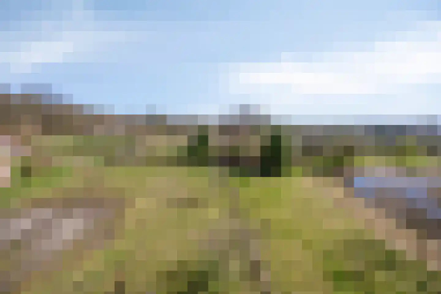 Lycklamavaart 1 Ravenswoud thumbnail 63