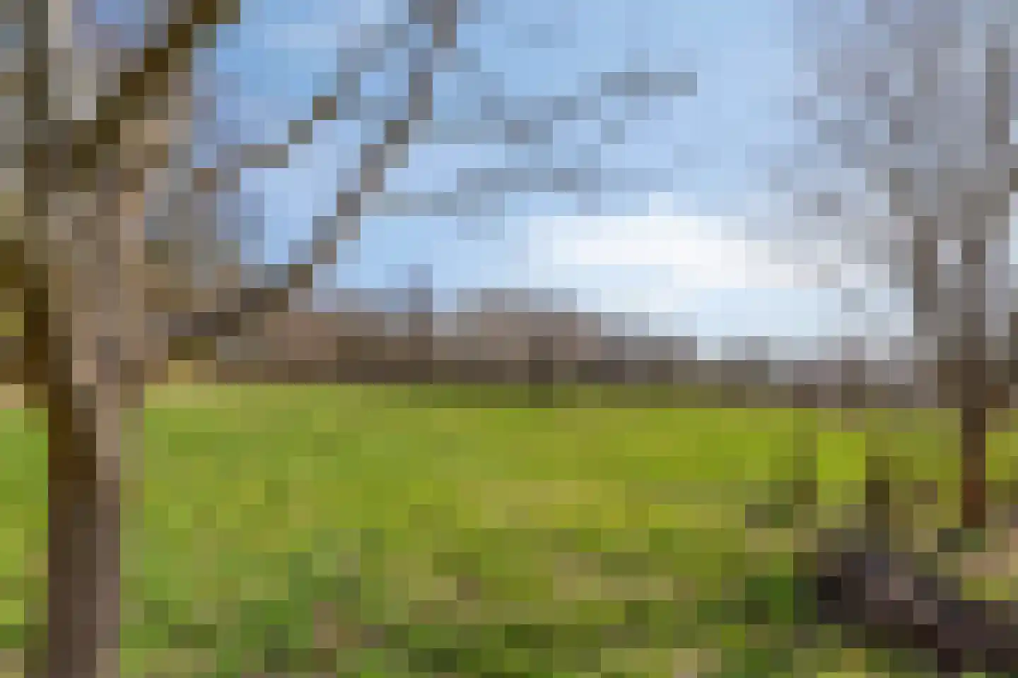 Lycklamavaart 1 Ravenswoud thumbnail 64