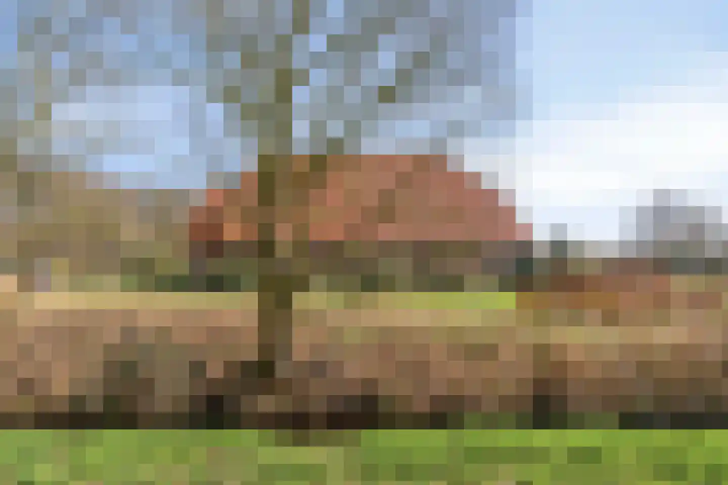 Lycklamavaart 1 Ravenswoud thumbnail 67