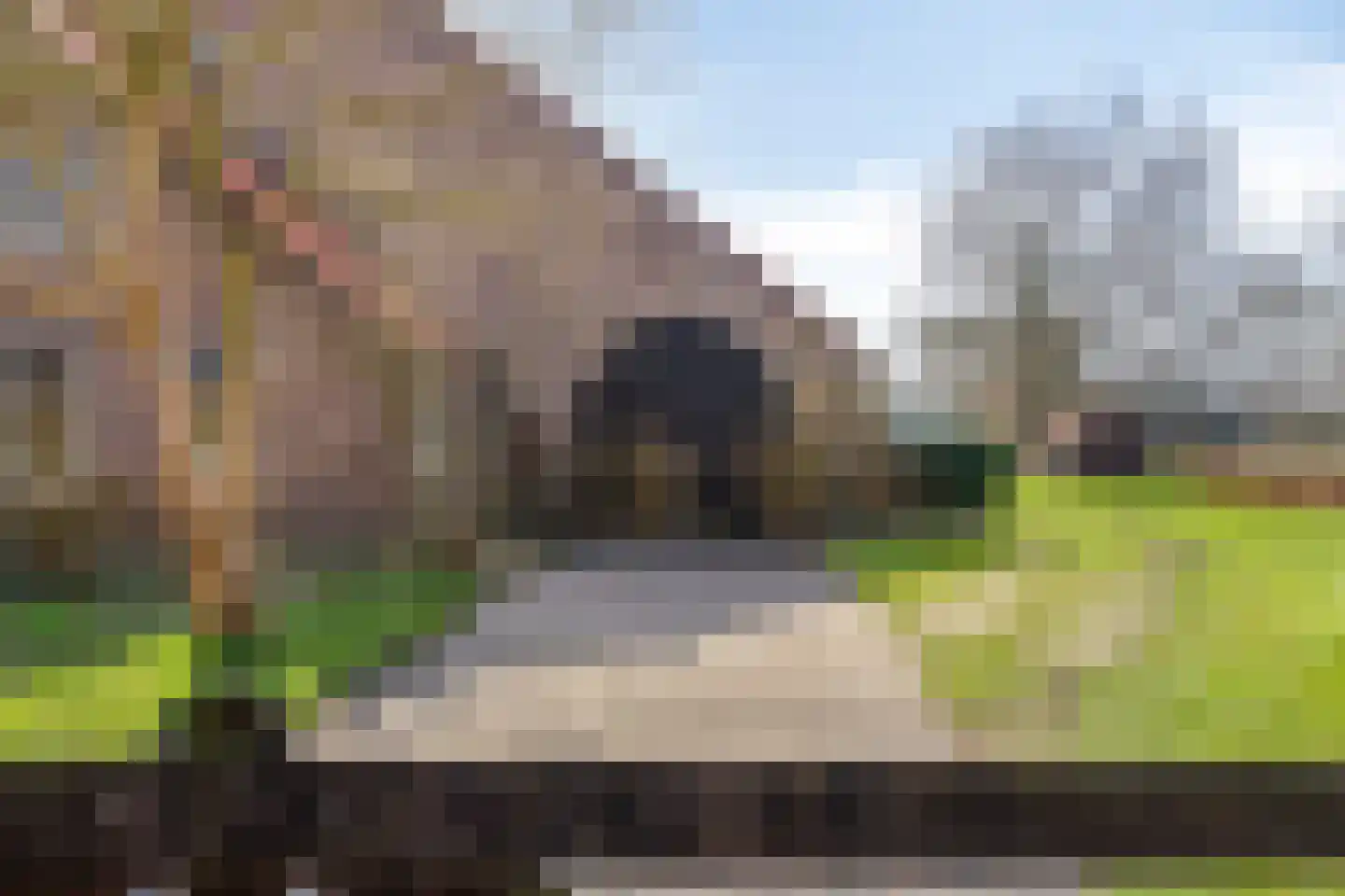 Lycklamavaart 1 Ravenswoud thumbnail 70