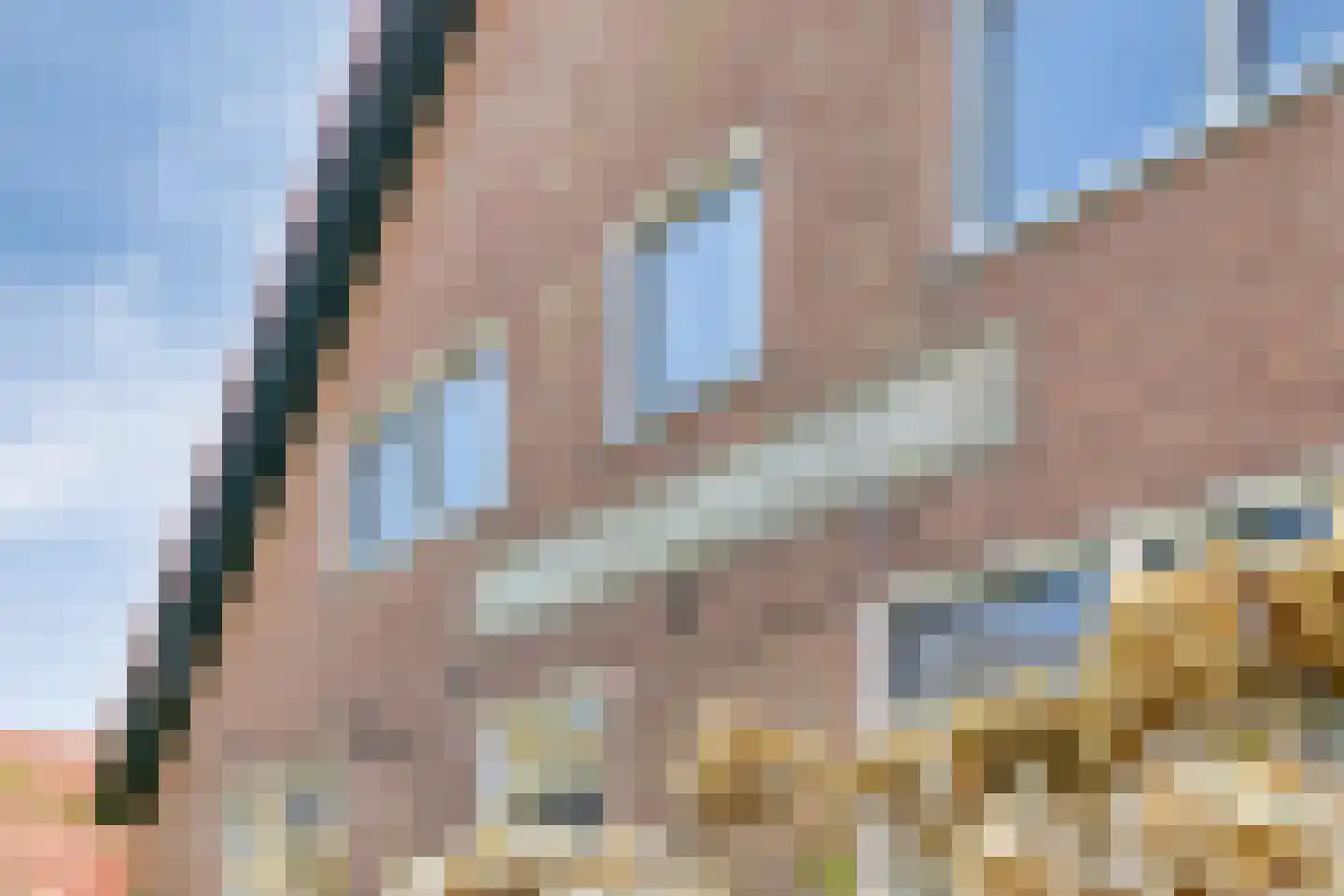 Lycklamavaart 1 Ravenswoud thumbnail 73