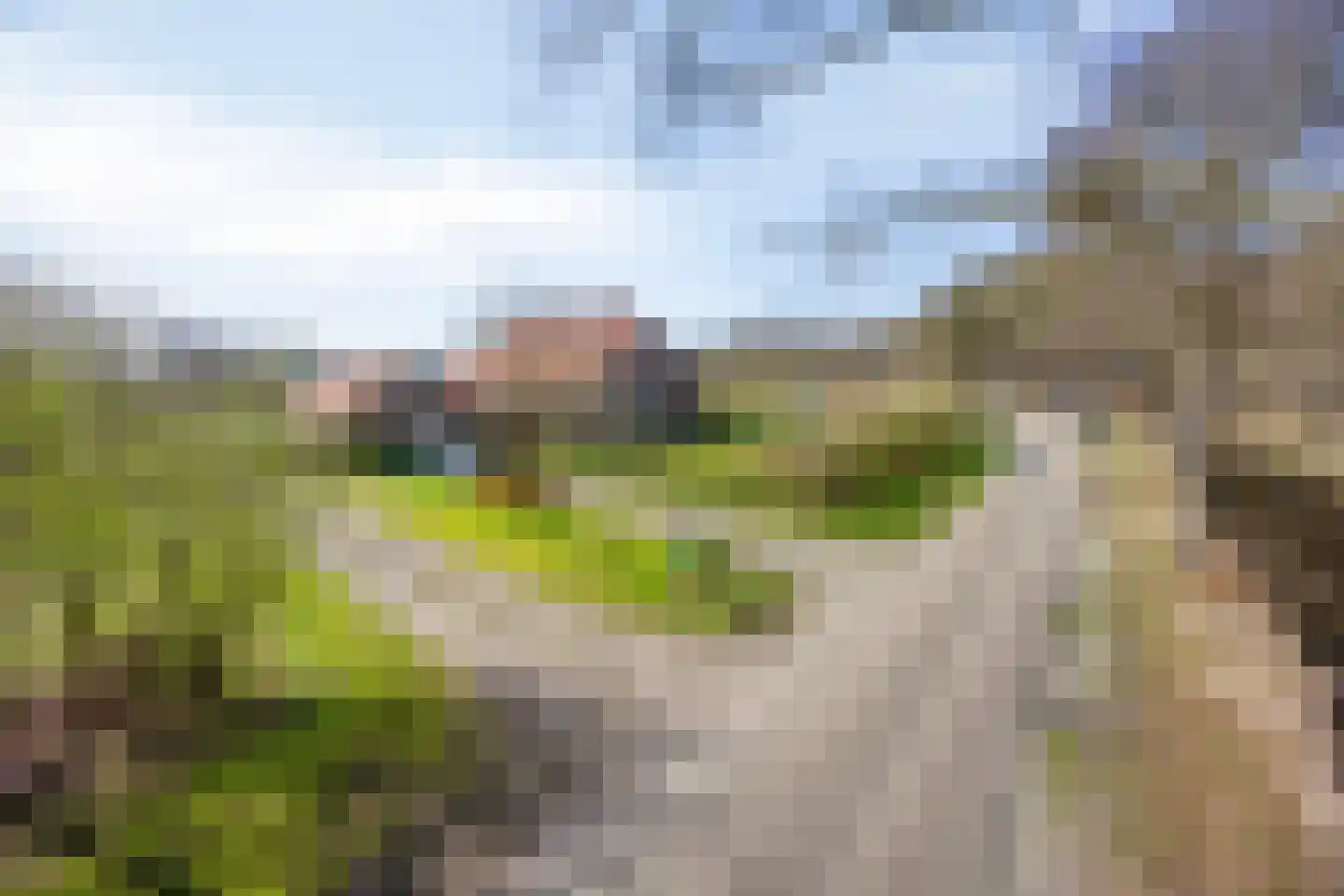 Lycklamavaart 1 Ravenswoud thumbnail 74