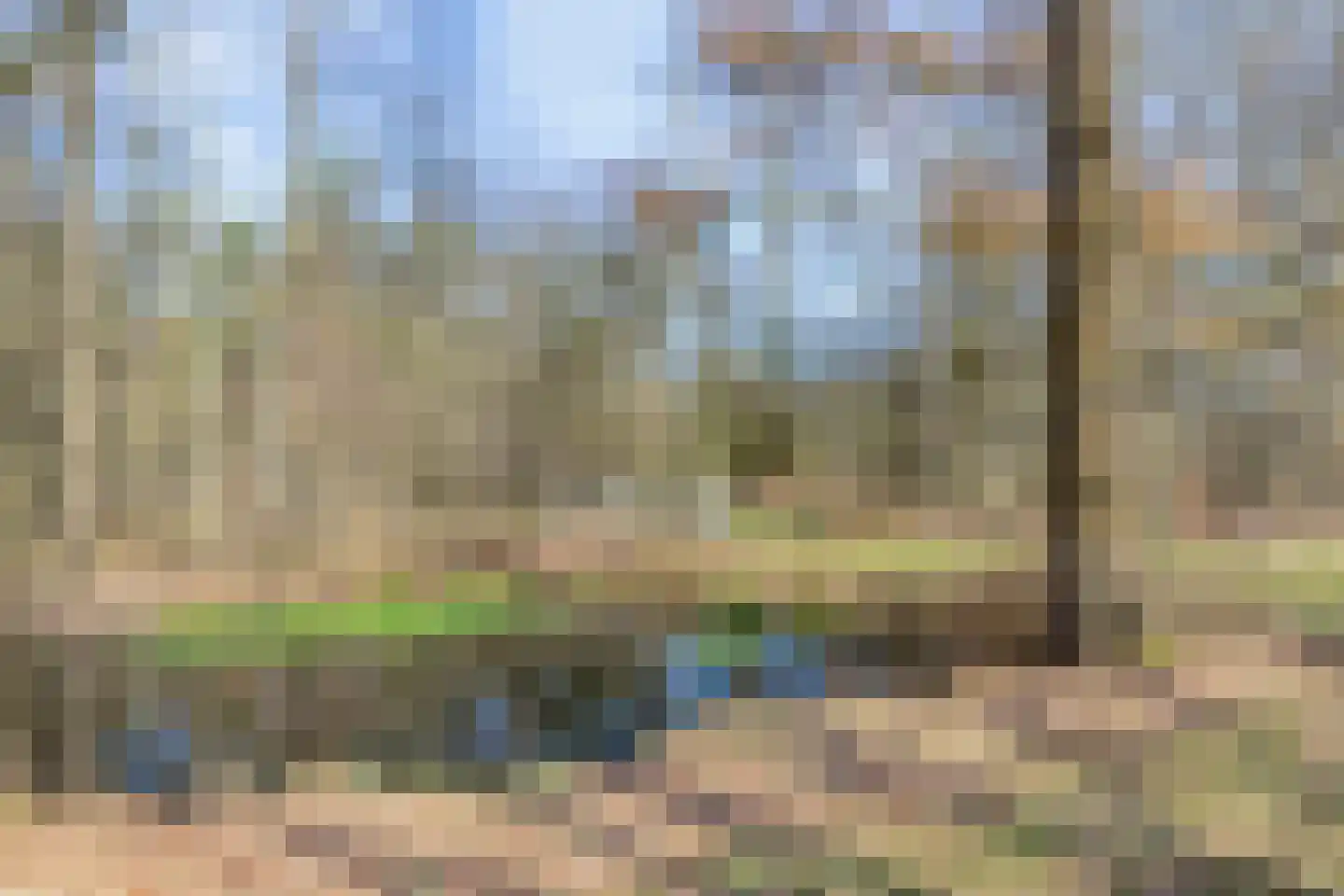 Lycklamavaart 1 Ravenswoud thumbnail 76