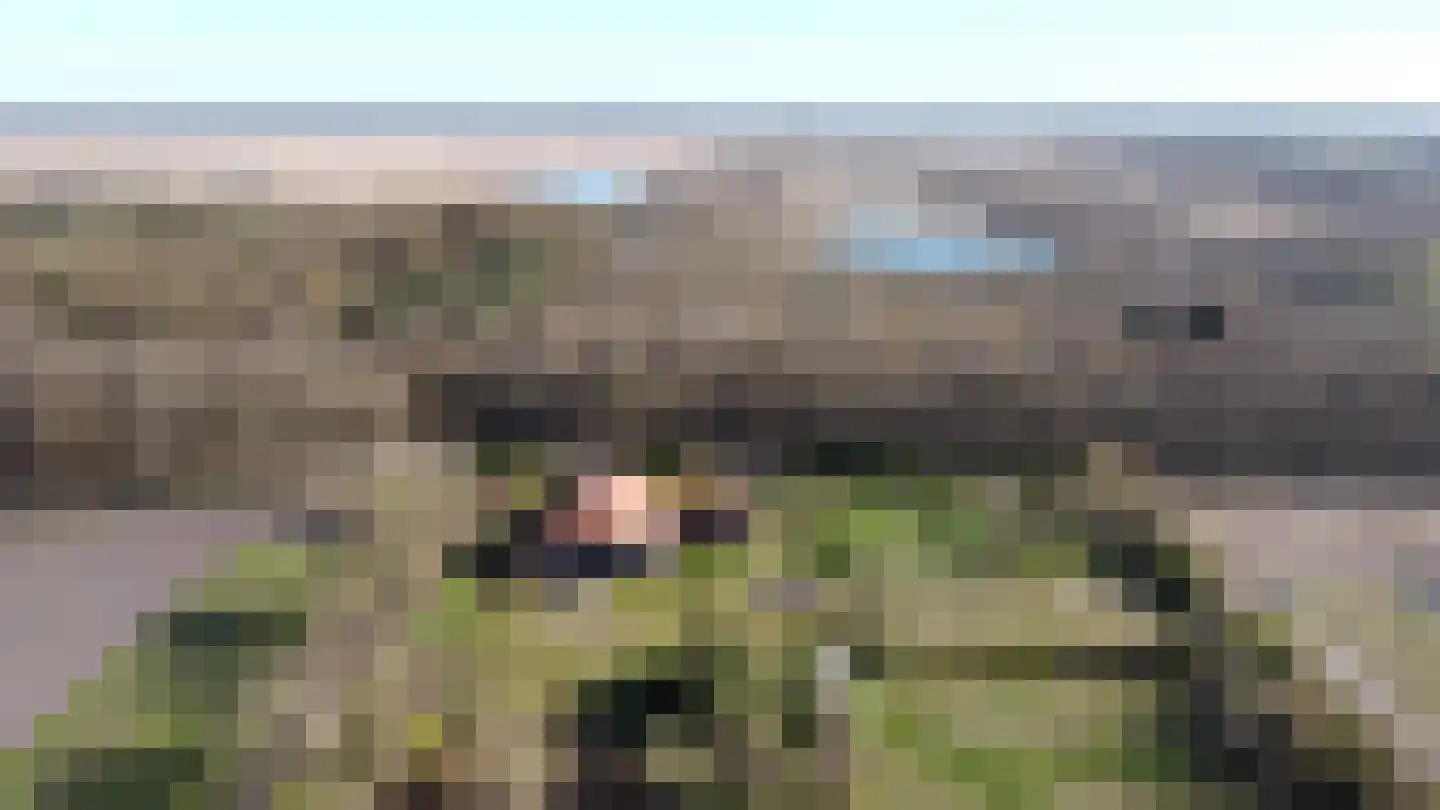 Lycklamavaart 1 Ravenswoud thumbnail 77