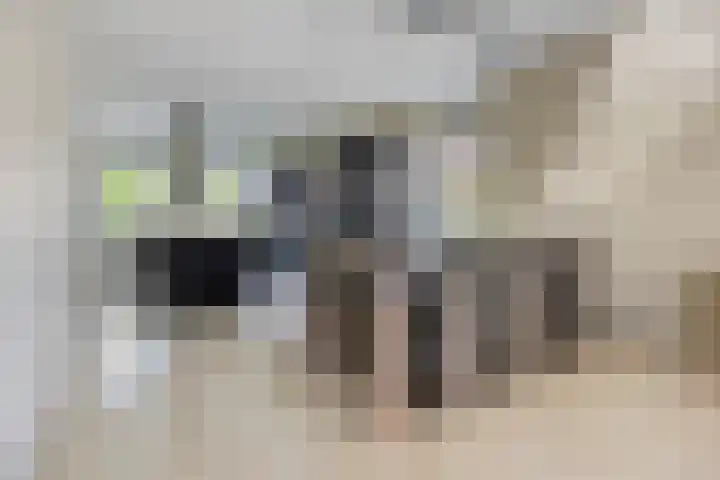 Lycklamaweg 106 Wolvega thumbnail 12