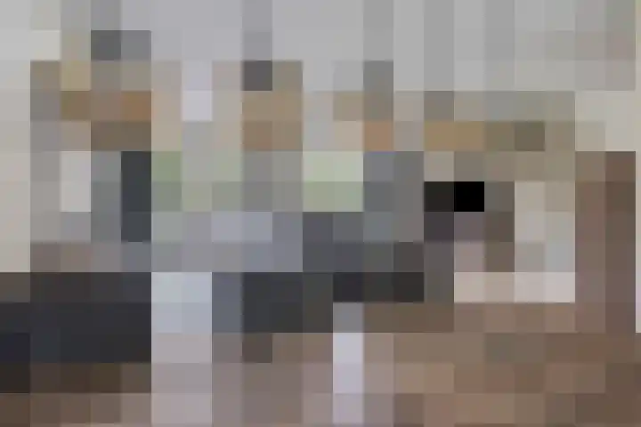 Lycklamaweg 106 Wolvega thumbnail 13
