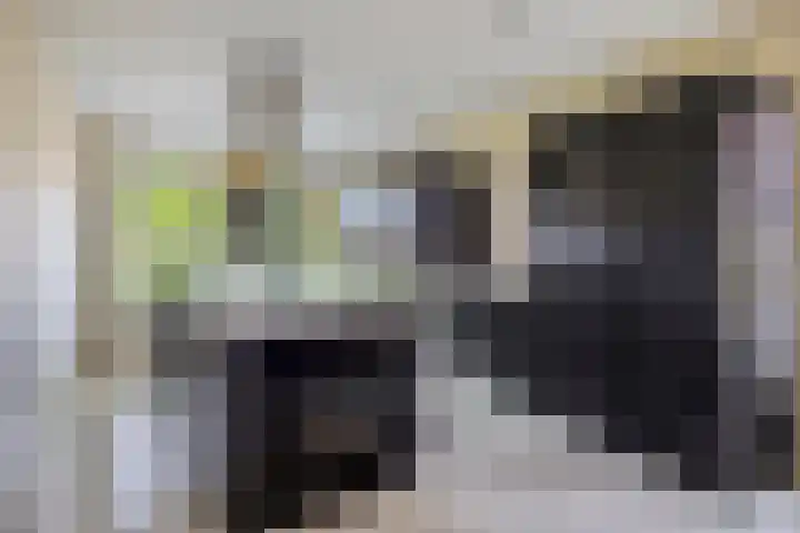 Lycklamaweg 106 Wolvega thumbnail 14
