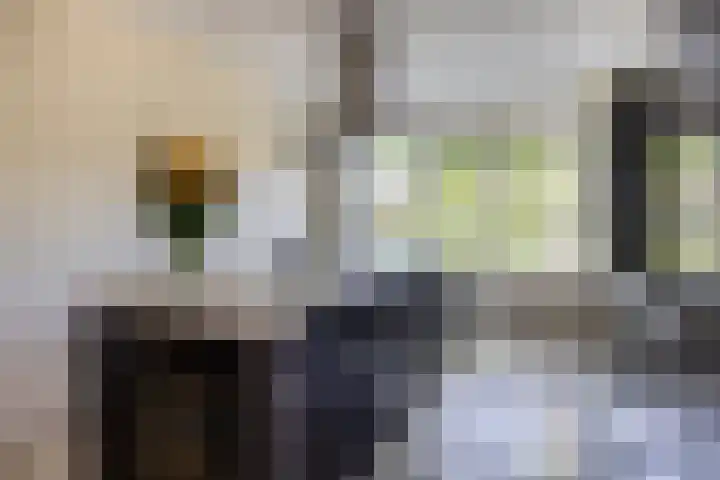 Lycklamaweg 106 Wolvega thumbnail 15