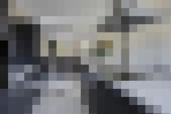 Lycklamaweg 106 Wolvega thumbnail 16