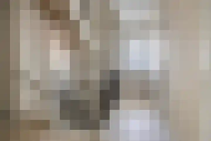 Lycklamaweg 106 Wolvega thumbnail 21