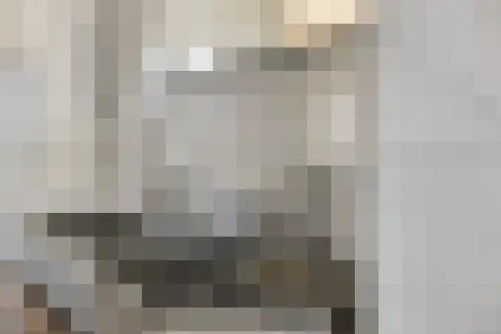 Lycklamaweg 106 Wolvega thumbnail 31