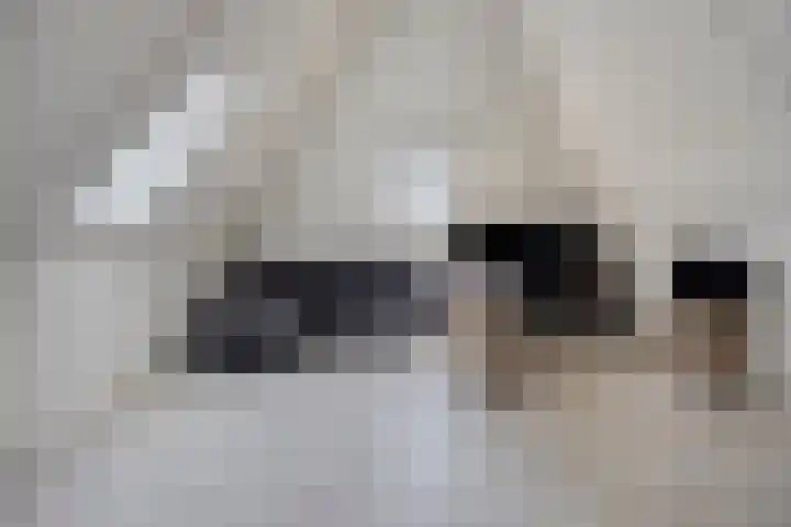 Lycklamaweg 106 Wolvega thumbnail 36