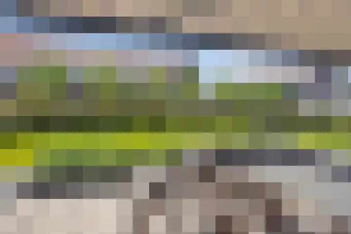 Lycklamaweg 106 Wolvega thumbnail 39