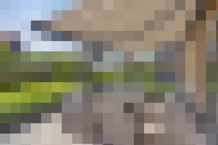Lycklamaweg 106 Wolvega thumbnail 40