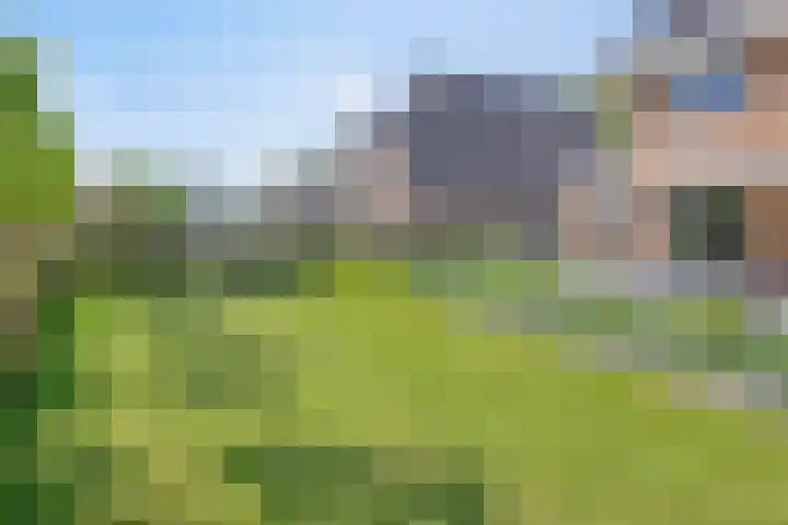 Lycklamaweg 106 Wolvega thumbnail 41