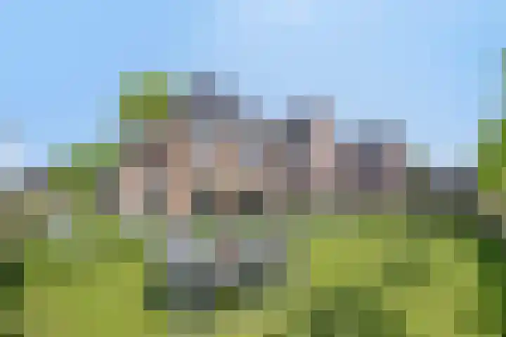 Lycklamaweg 106 Wolvega thumbnail 43