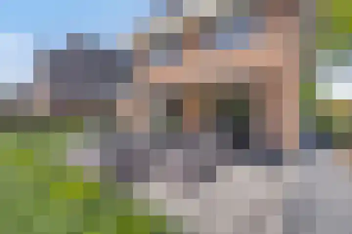 Lycklamaweg 106 Wolvega thumbnail 45