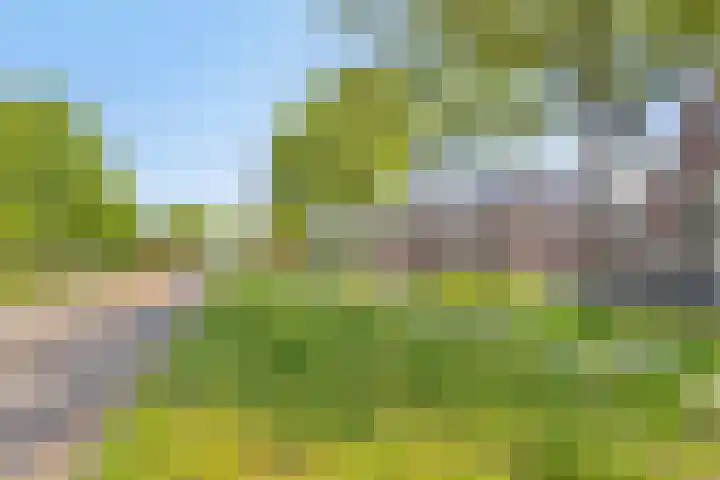 Lycklamaweg 106 Wolvega thumbnail 47