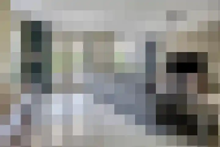 Lycklamaweg 106 Wolvega thumbnail 9