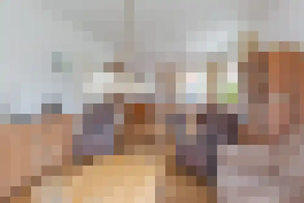 Lycklamaweg 148 Wolvega thumbnail 13