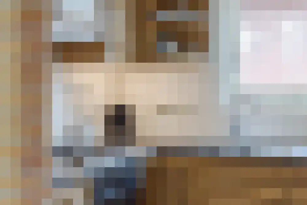 Lycklamaweg 148 Wolvega thumbnail 18