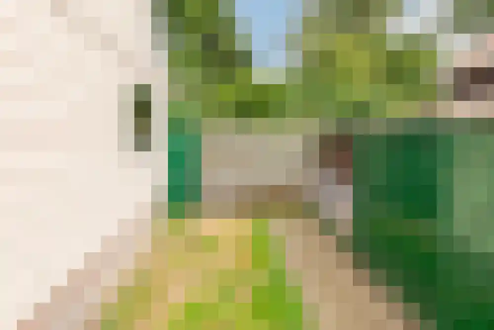 Lycklamaweg 148 Wolvega thumbnail 36