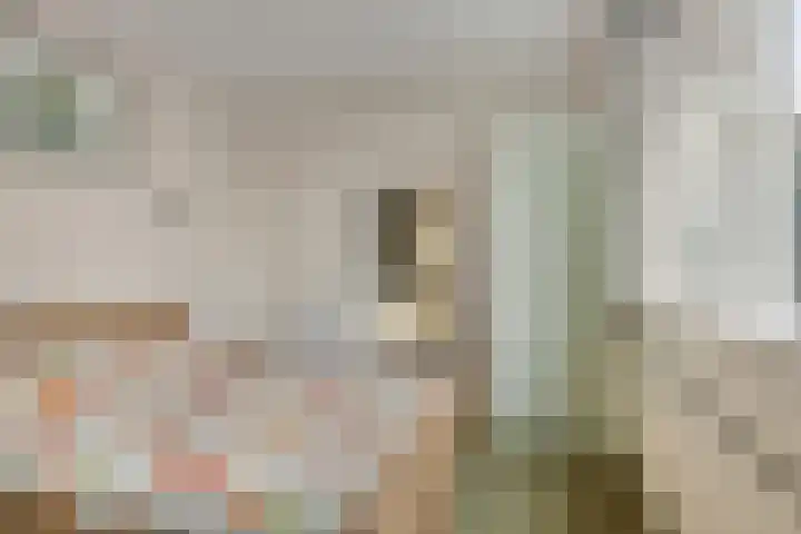 Lycklamaweg 160 Wolvega thumbnail 10