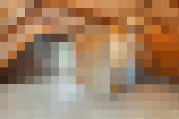 Lycklamaweg 160 Wolvega thumbnail 21