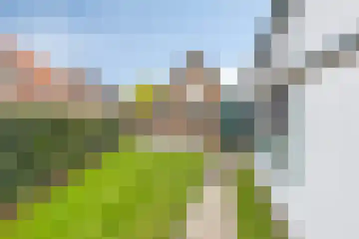 Lycklamaweg 160 Wolvega thumbnail 24