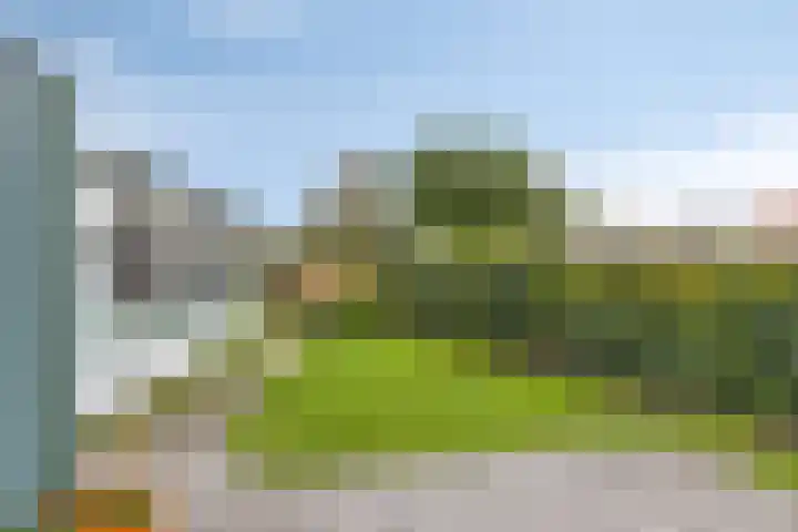 Lycklamaweg 160 Wolvega thumbnail 26