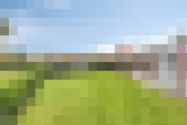 Lycklamaweg 160 Wolvega thumbnail 28