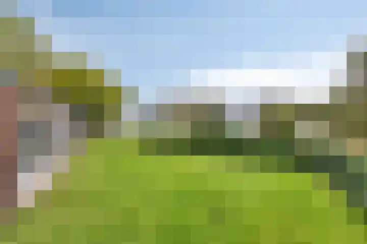 Lycklamaweg 160 Wolvega thumbnail 29
