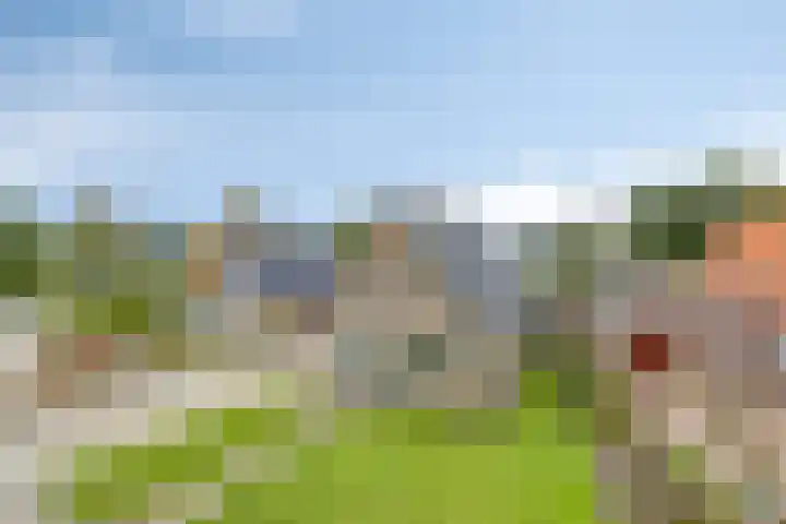 Lycklamaweg 160 Wolvega thumbnail 32