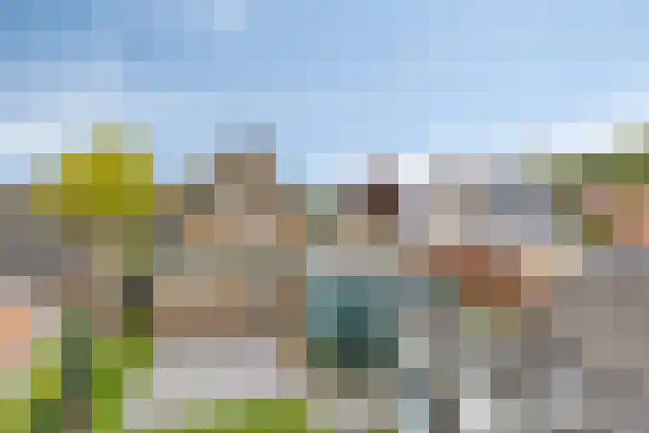 Lycklamaweg 160 Wolvega thumbnail 33