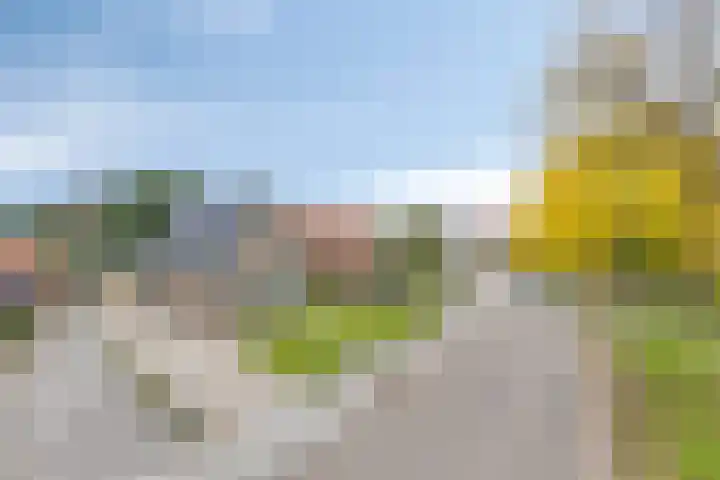 Lycklamaweg 160 Wolvega thumbnail 35
